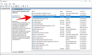 What Windows 11 Services to Disable Safely and How?